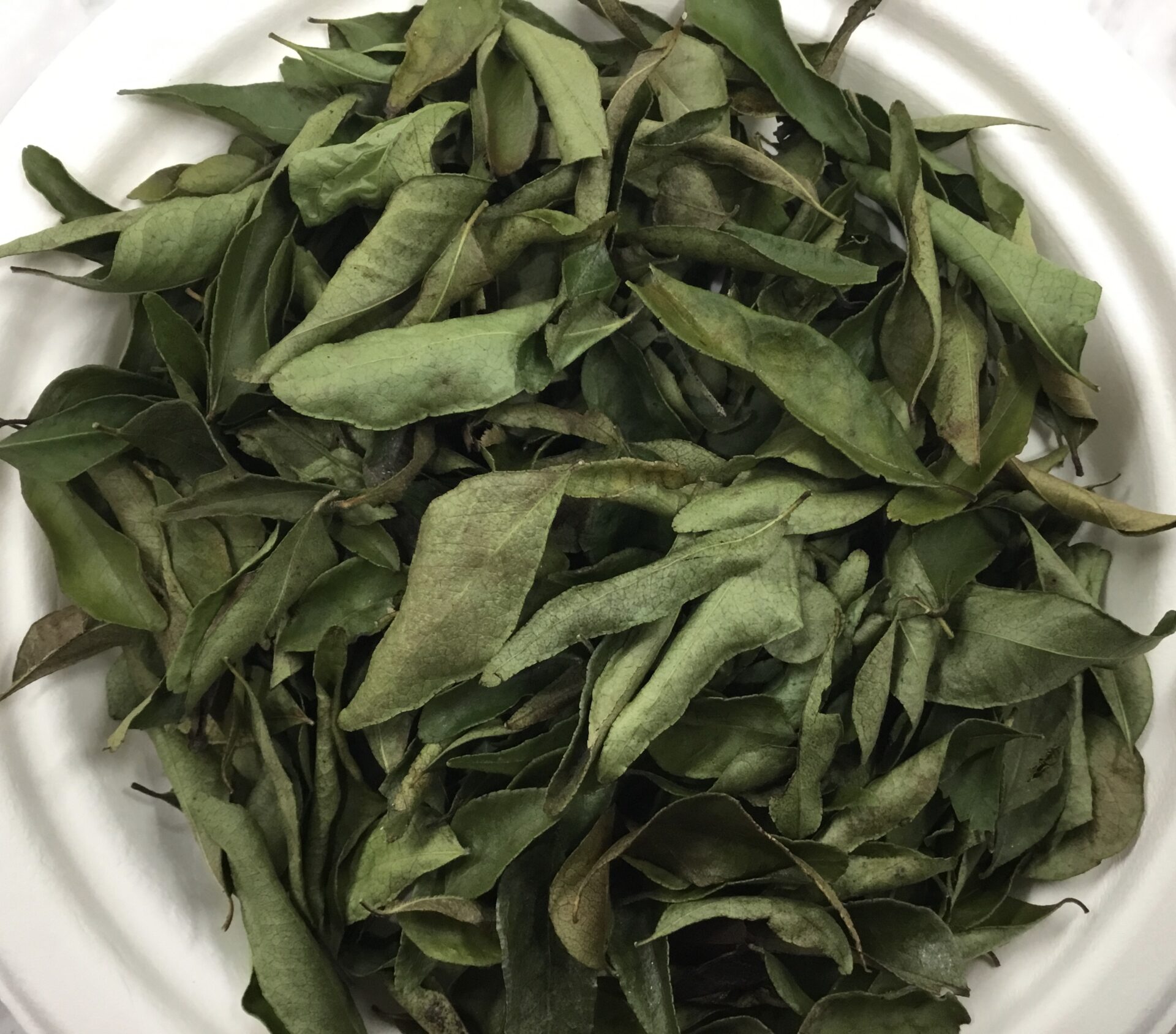 (24). Dry Curry-leaves LN Kari patta or Sweet Neem.jpg